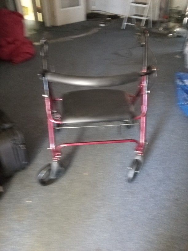 Large Adult Walker