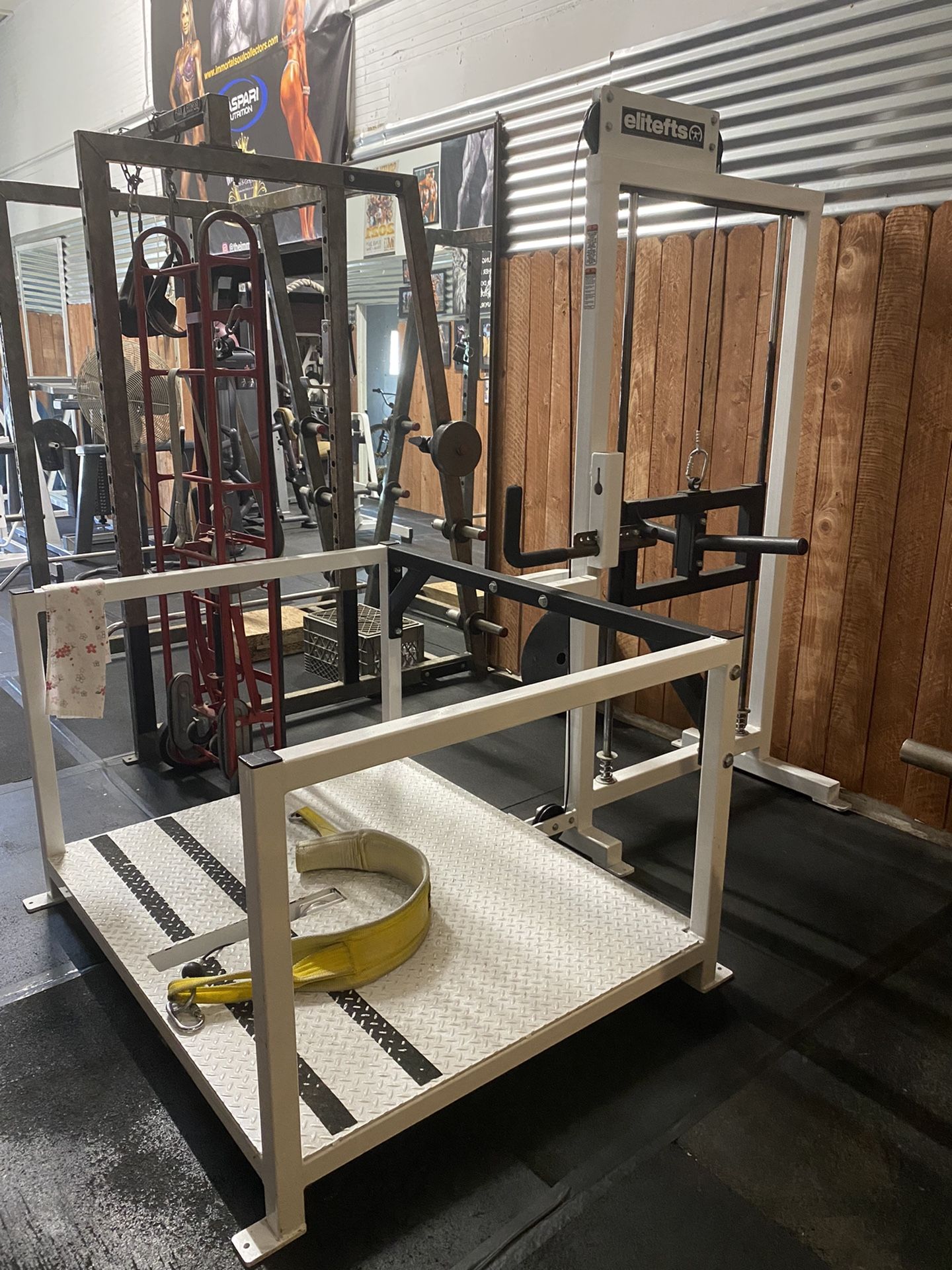 Elitefts Belt Squat