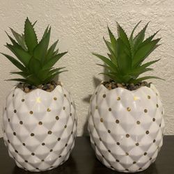 9 inch tall, pineapple ceramic decor, piece with succulent