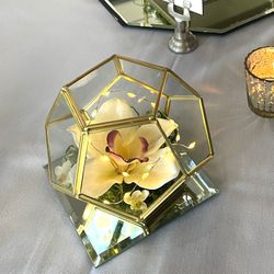 Decorative Glass Terrariums 