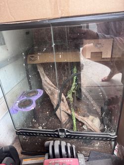 Reptile tank exoterra