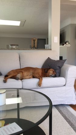 IKEA loveseat