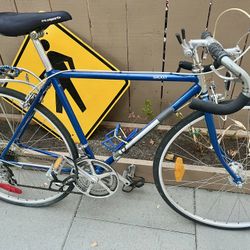 Biscayne Road Bike With Araya Suzue Wheels 