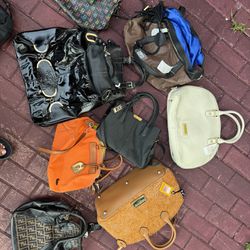 Purse / Handbags 