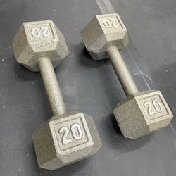 20 LBS. dumbbells $40 for both     titan rogue rep fitness barbell rack dumbbell bench fitness plyo box rack weight