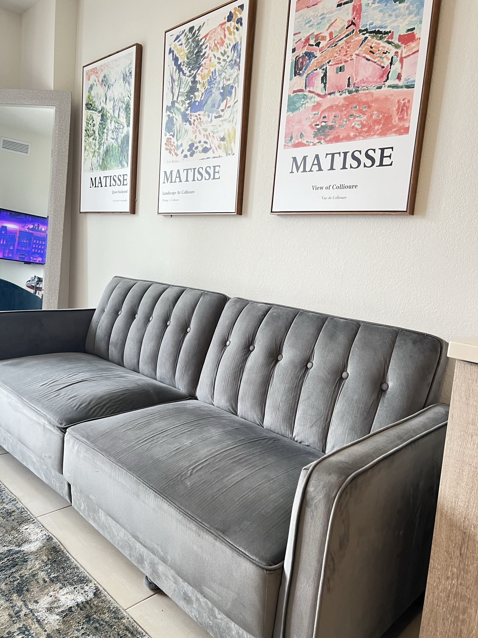 Velvet Plush Couch