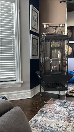 Bird Cage with everything