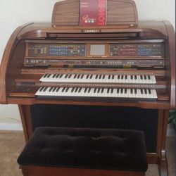 Organ For Sale 