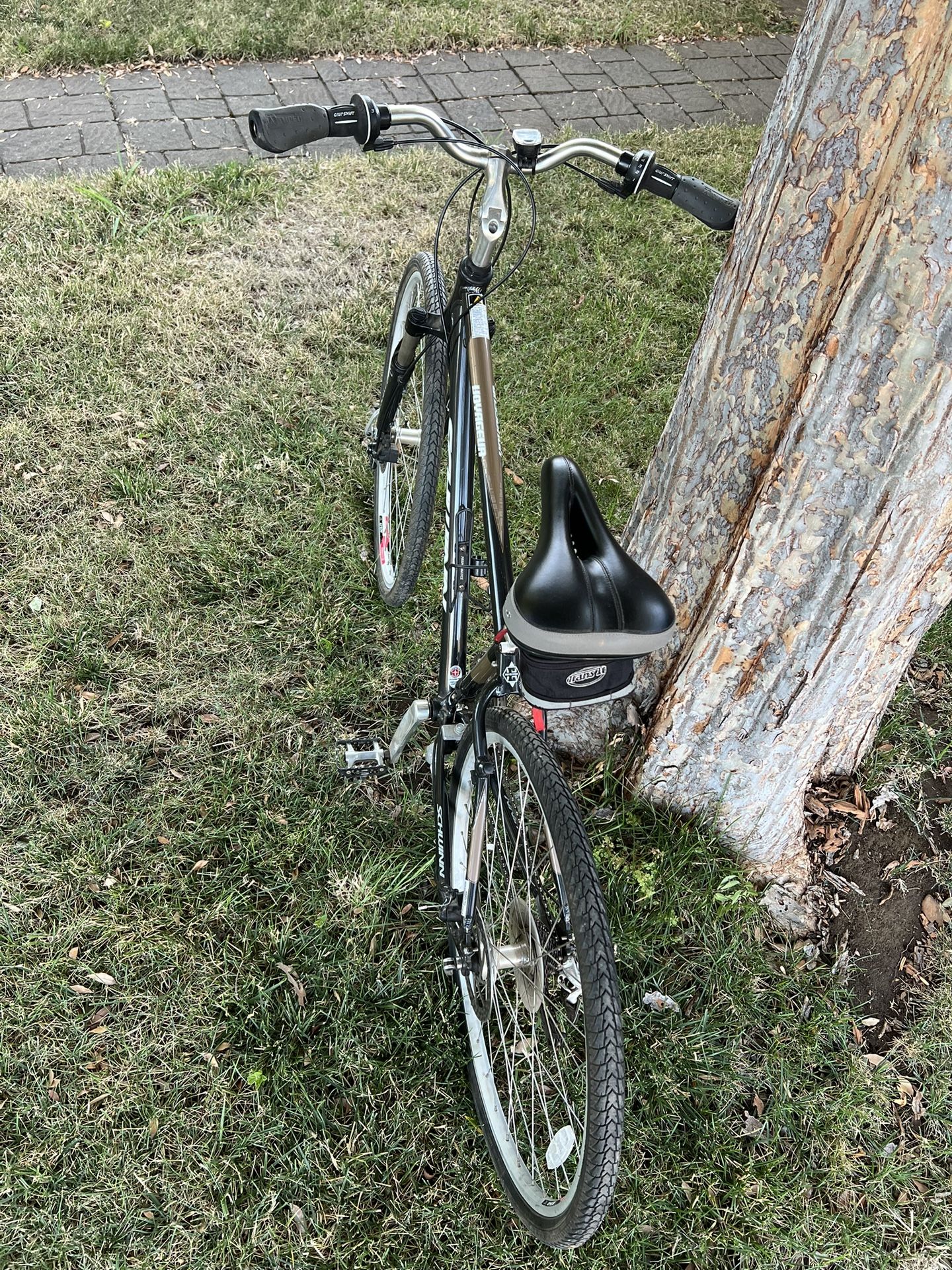 Schwinn Bike Adult
