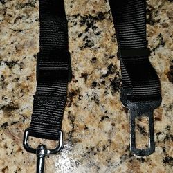 Cat/Small DOG SEAT BELT