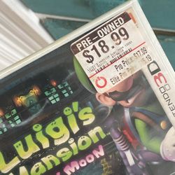 Luigi’s Mansion Ds 