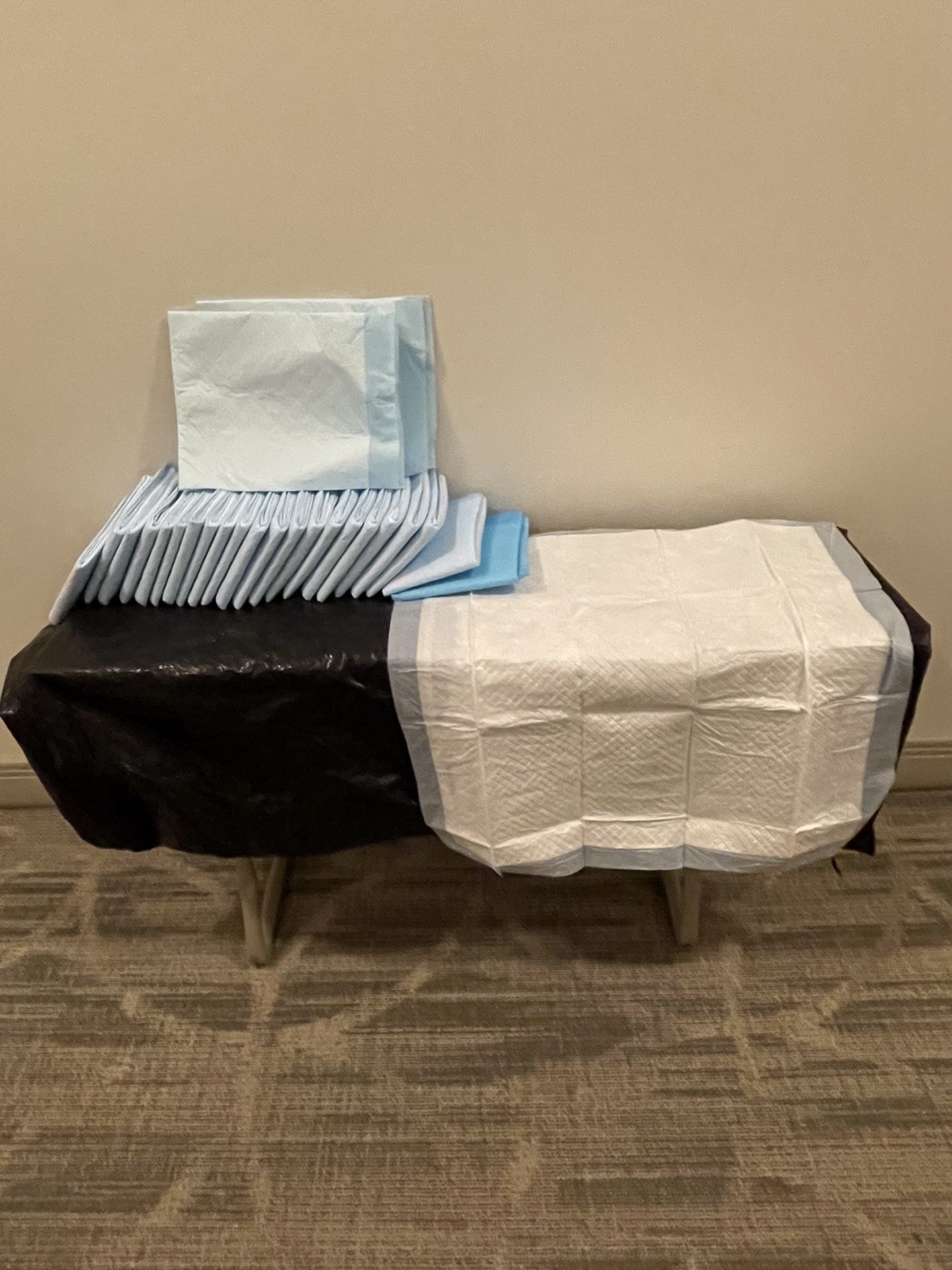 25 PET PEE or TRAINING PADS 20" x 20" - posted price is firm.