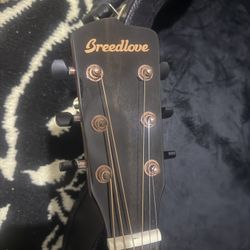 Guitar Breedlove 6 Strings 