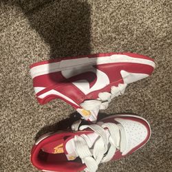 Nike Dunks