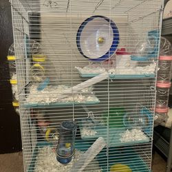 Everything Included- HAMSTER & CAGE! 