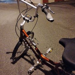 Day 6 Dream Recumbent Bicycle