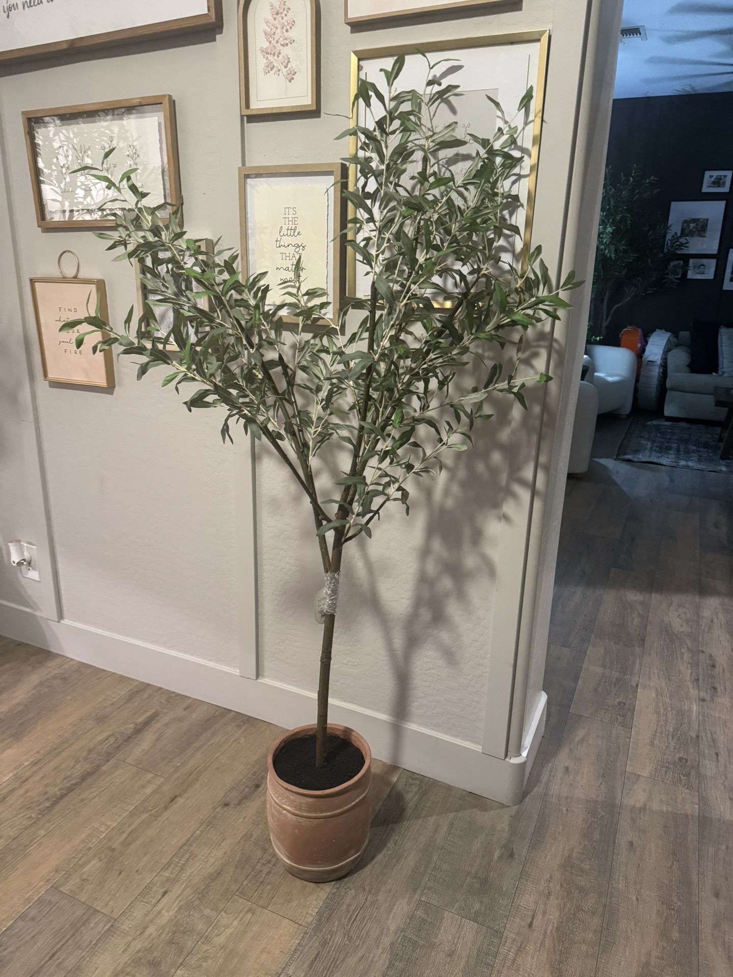 Studio McGee Olive Tree