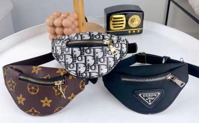 Dog Accessories 