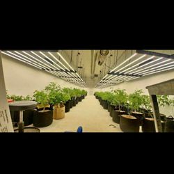  Grow Equipment for Sale -make Offer! Everything You Could Want! See Full listing And Prices Below