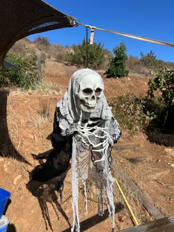 Hanging Skeleton Reaper Halloween Decoration