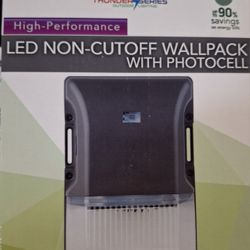 Westgate LESW LED WALL LIGHT