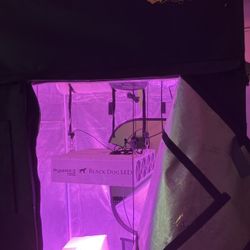 Gorilla Grow Tent 