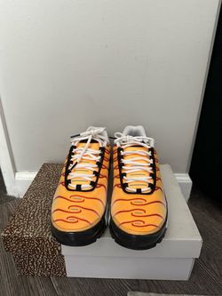 Nike Air Max Plus TN Sneakers