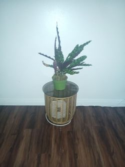 Small glass top table