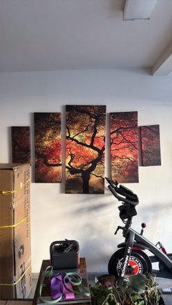 5 Piece Wall Art