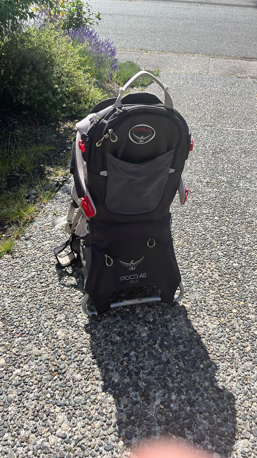 Osprey Poco AG plus Backpack