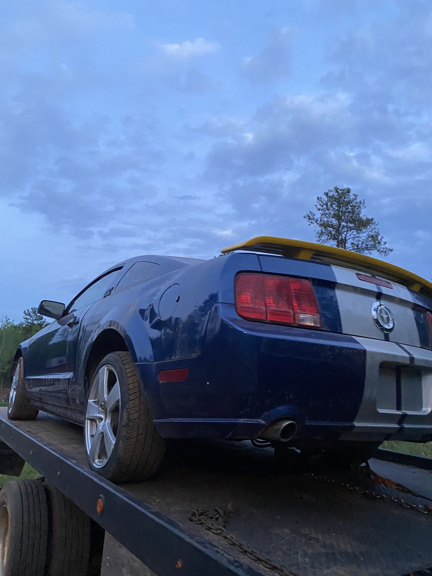 2005 Ford Mustang