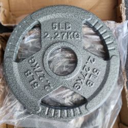 Cast Iron Plate Weight, Plate for Strength Training and Weightlifting, 5LB (Set of 2)