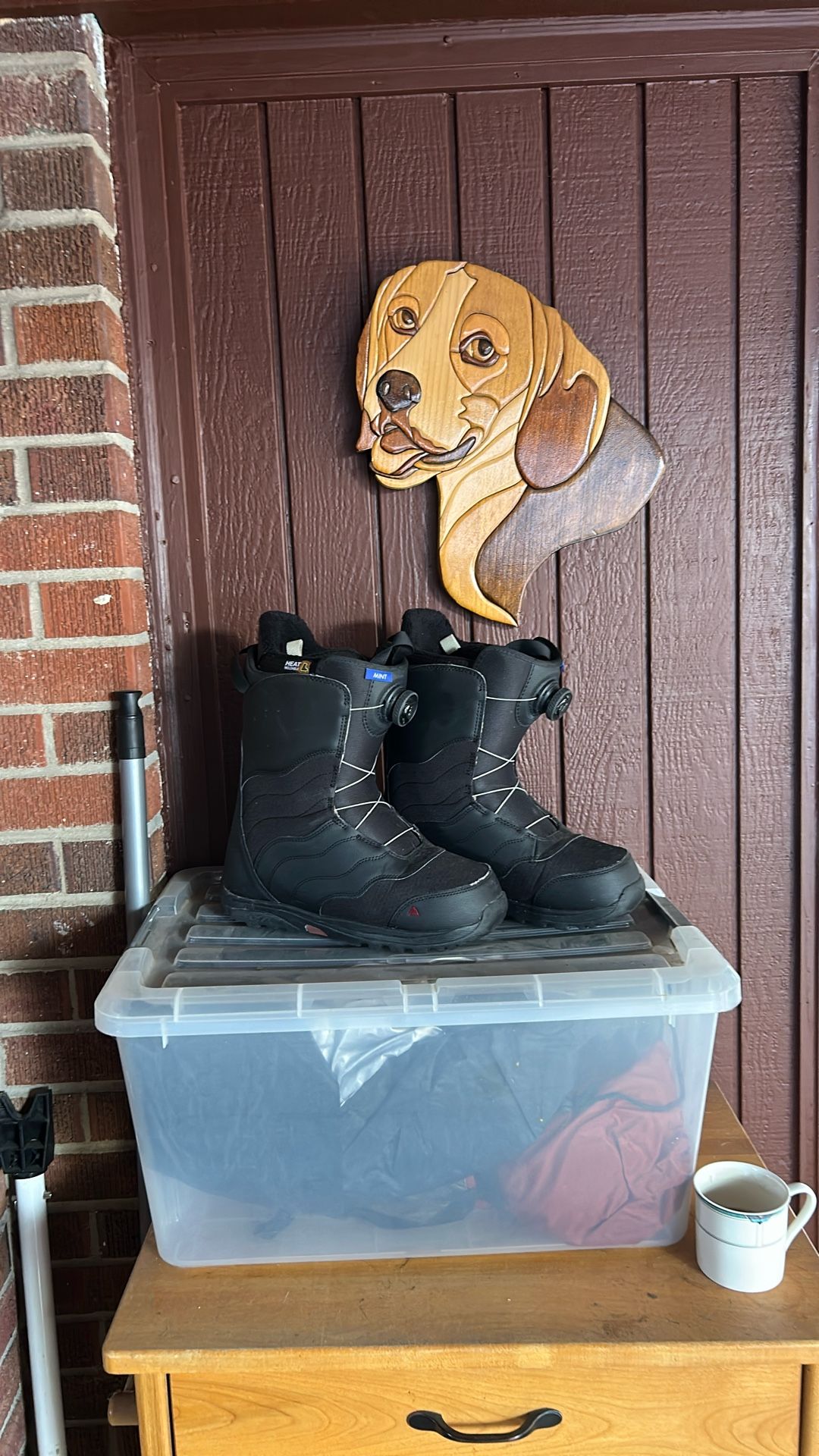Snowboard Boot