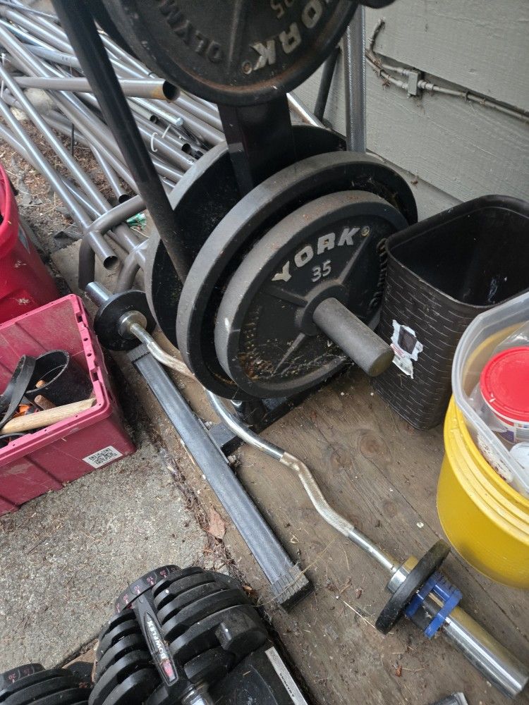 Weights  And Squat Rack  And Bars 