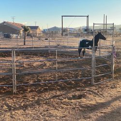 Round Pen For Horses 50ft (4-rail)