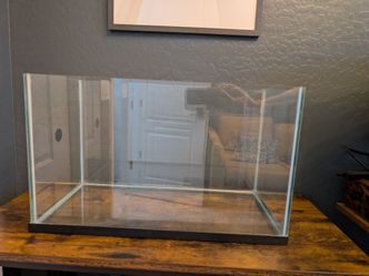 10 gallon rimless aquarium tank