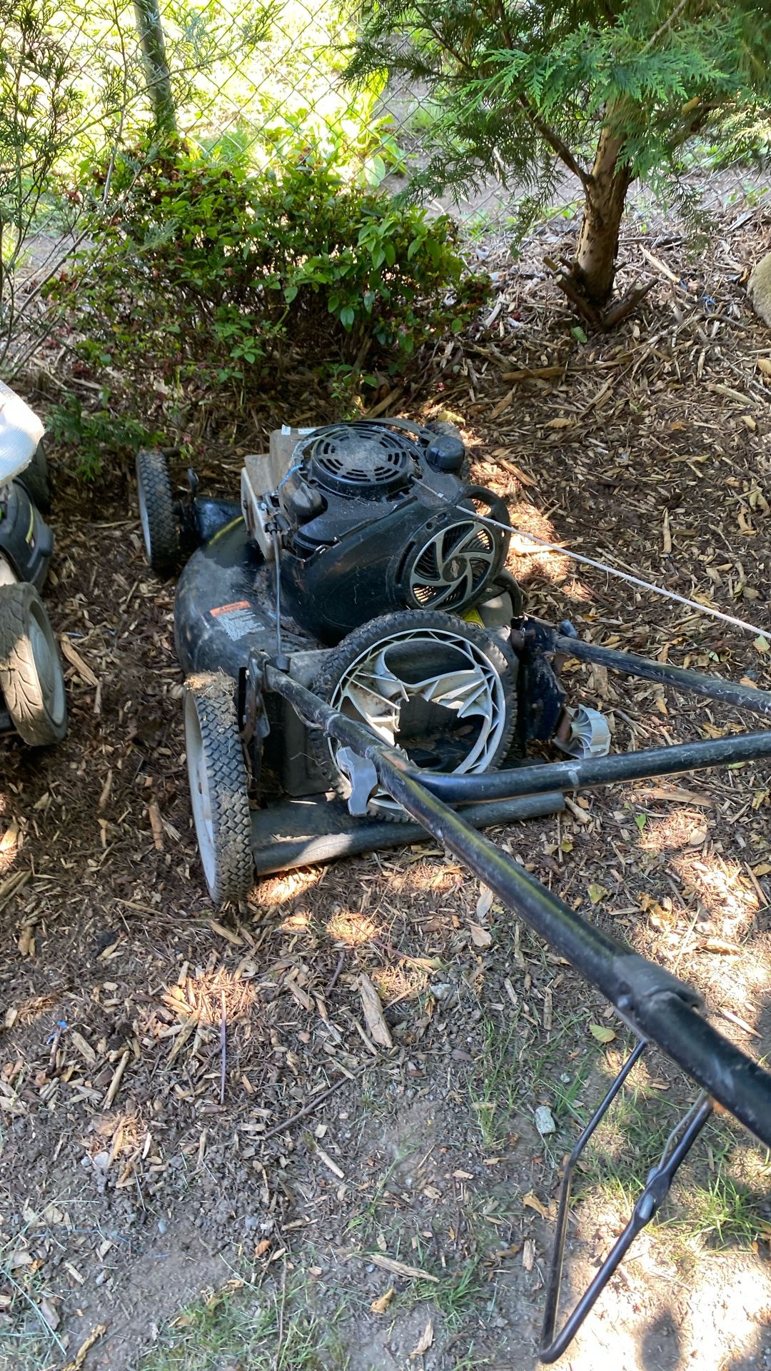 Yard Lawn Mowers
