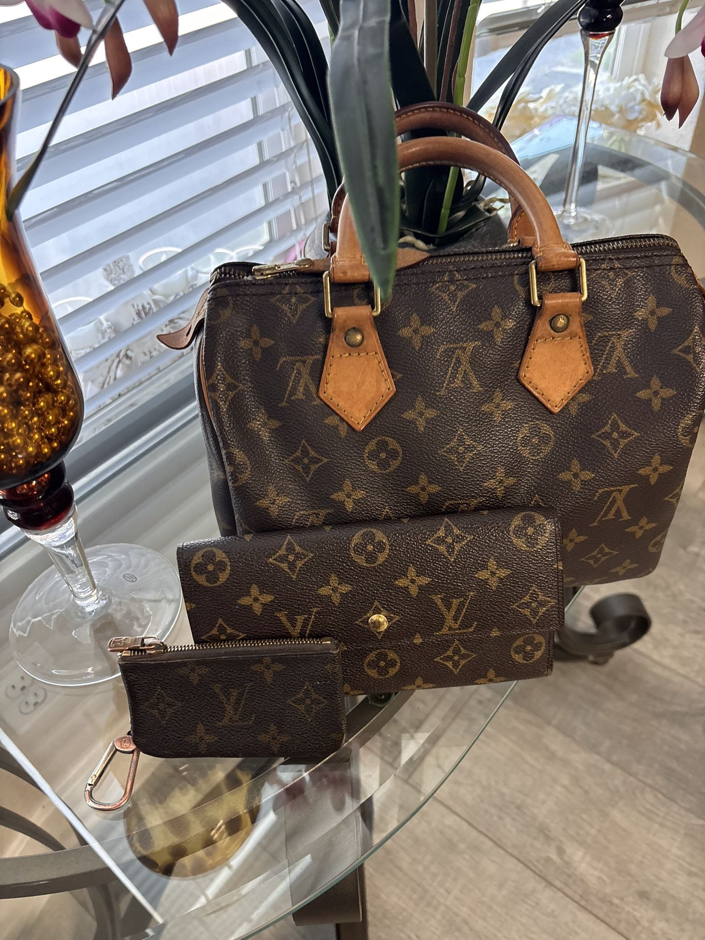 Louis Vuitton Speedy 25