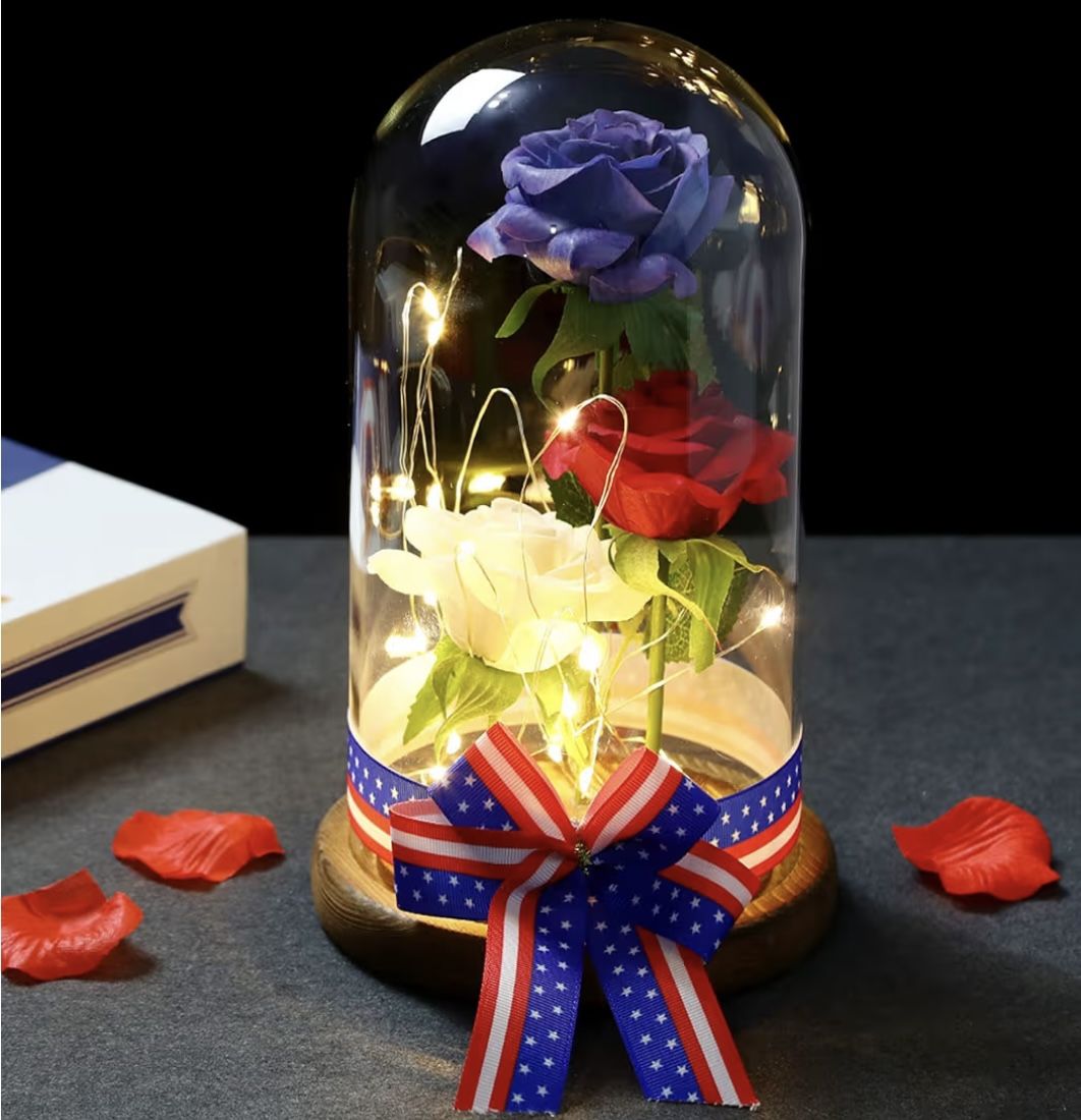 Enchanted Rose in Glass Dome with LED Lights – Brand New