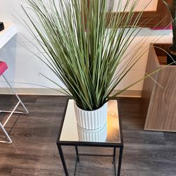 Fake plant and mirror table