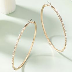 💎Luxury Hoop Earrings with Rhinestones