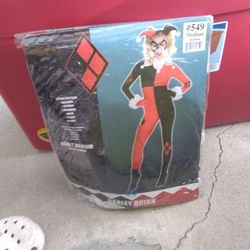 Harley Quinn costume