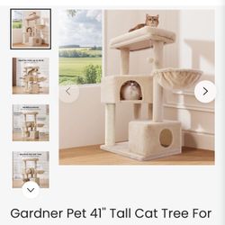 New Cat Tree House Never Opened 