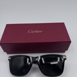Cartier Sunglasses With Case And Original Packaging 