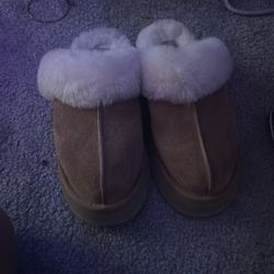 Brand New Uggs 