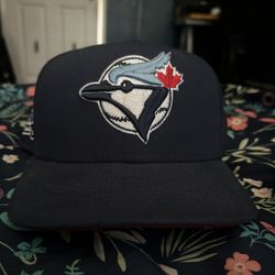 Blue Jays Fitted Hat