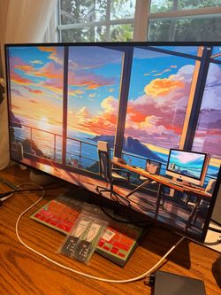 Dell 25” monitor