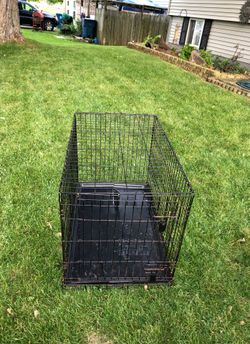 36 x 22 dog cage