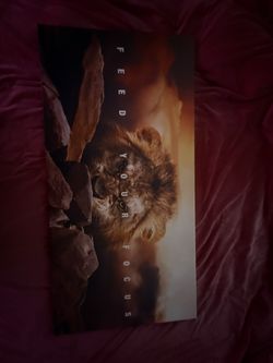 Canvas Art (lion)