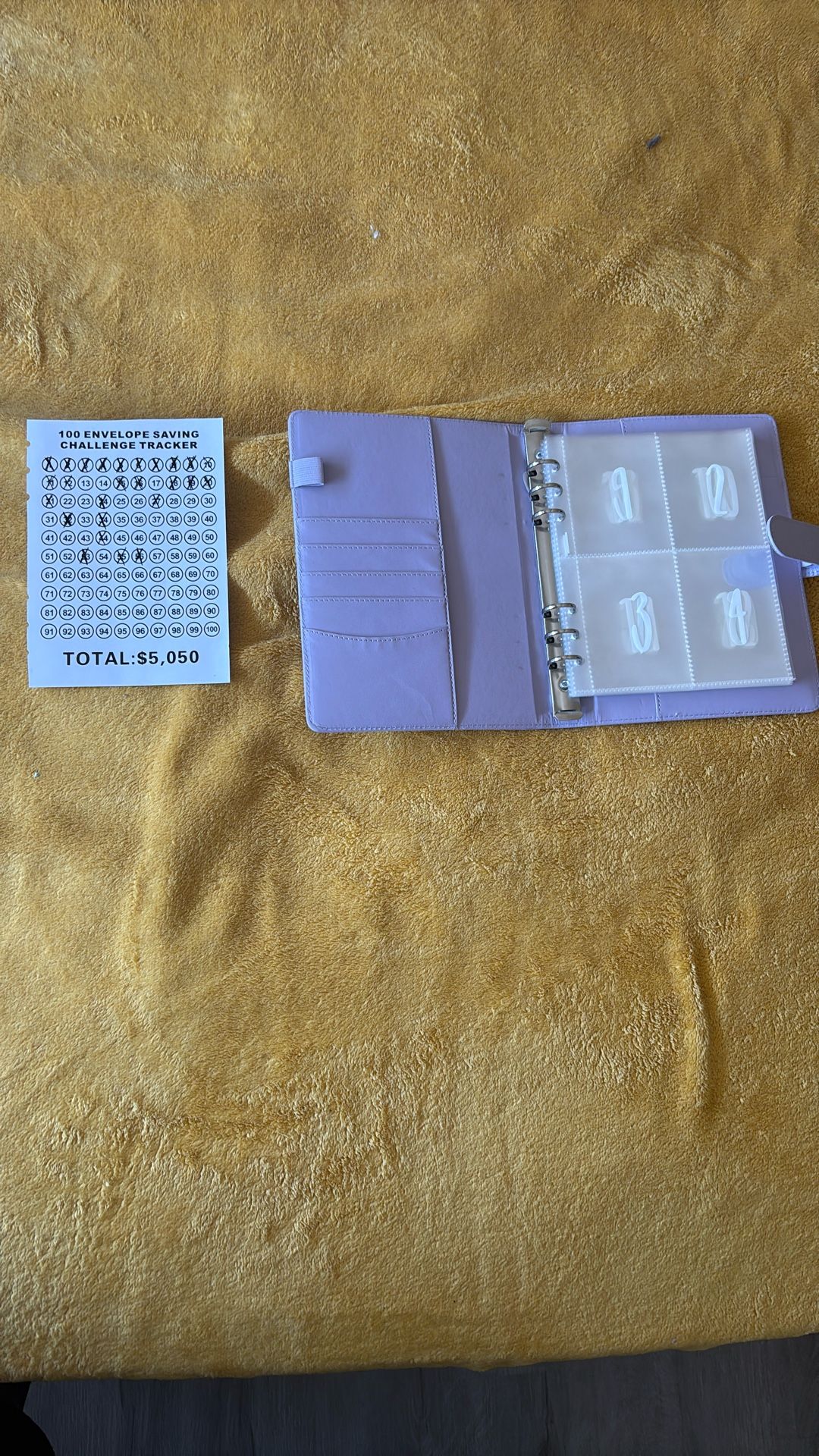 100 Envelope Savings Challenge